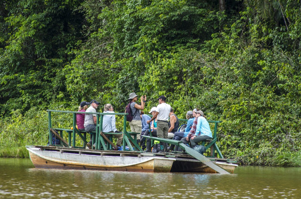 Mono en la reserva de Tambopata